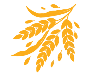 金黄色稻米LOGO