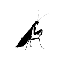 螳螂剪影