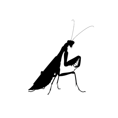 螳螂剪影元素