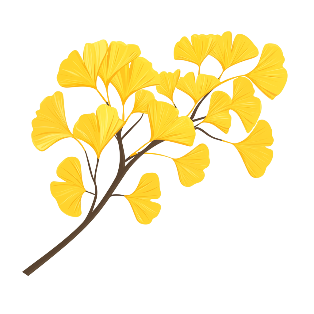 银杏叶透明背景素材