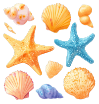 海贝与海星矢量贴纸