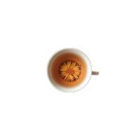 解暑凉茶元素