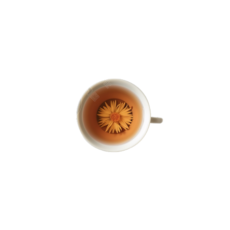 解暑凉茶元素