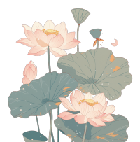 粉色荷花插画