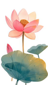 粉色莲花芽图形素材