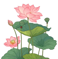 中国风莲花插画