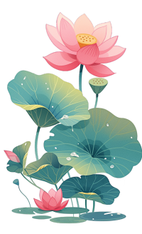 荷叶荷花插画设计