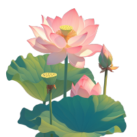 粉色莲花图案