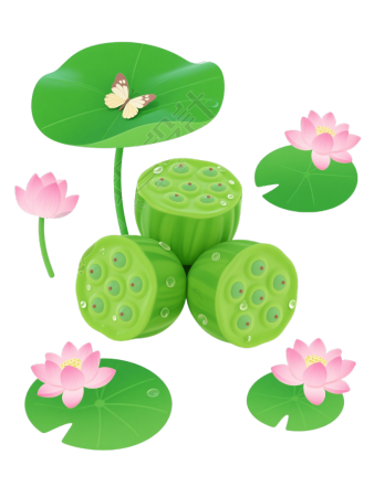 莲蓬小清新插图