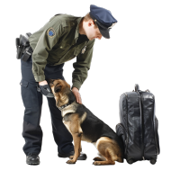 警犬查验行李