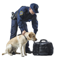 警犬检查行李