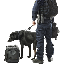 警犬检查行李