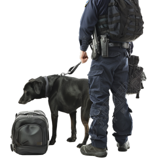警犬检查行李
