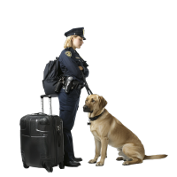 警犬检查行李