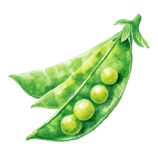 清新绿豆插画设计