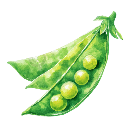绿豆卡通简约插画
