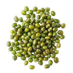 绿豆透明背景插图