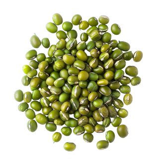 逼真绿豆图形素材