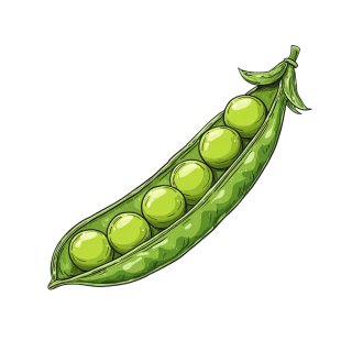 鲜豌豆插画设计