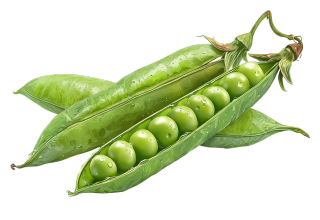 绿豆豌豆豆荚图形素材