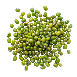 逼真绿豆图形设计