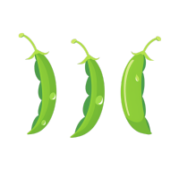绿豆扁平插画