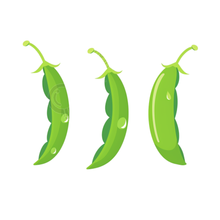 绿豆扁平插画