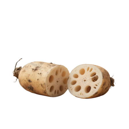 莲藕透明背景元素