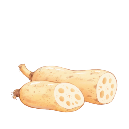 莲藕水彩风格插画
