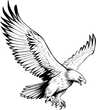 飞翔雄鹰黑白插画