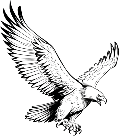 雄鹰素描插画