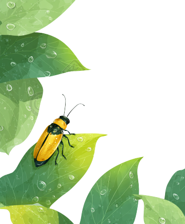 萤火虫水彩插画