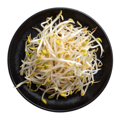 黄豆芽高清商业素材