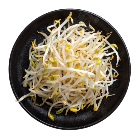 黄豆芽高清商业素材