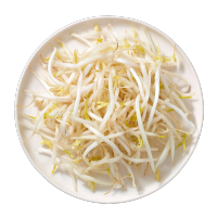 透明背景豆芽图片