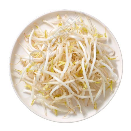 新鲜黄豆芽插图