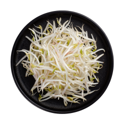 白色天使，黑色豆芽盘，商业摄影