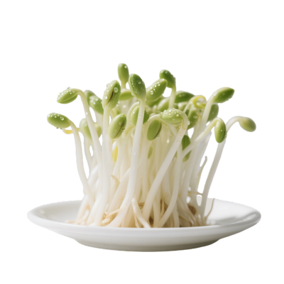 黄豆芽可商用PNG元素