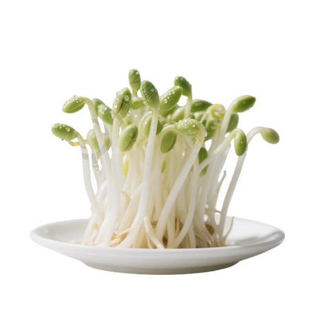 黄豆芽可商用PNG元素