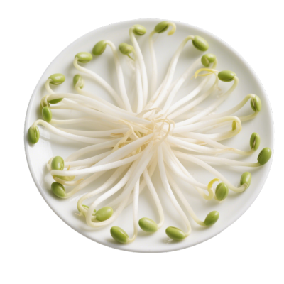 黄豆芽高清商业插画