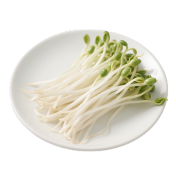 豆芽白芽绿角豆