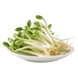 豆芽白色嫩芽绿豆尖透明背景高清PNG图形素材
