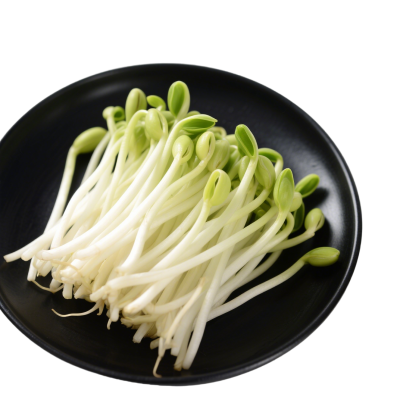 黄豆芽透明背景插图
