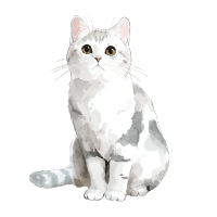 水彩美国短毛猫插画