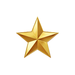 金色星星图标