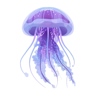 海洋紫色水母插图