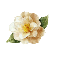 复古花朵