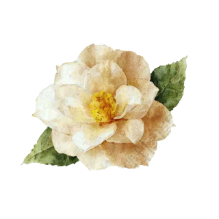 山茶花复古风素材
