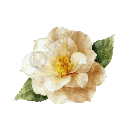 山茶花复古风素材