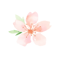 水彩桃花插画
